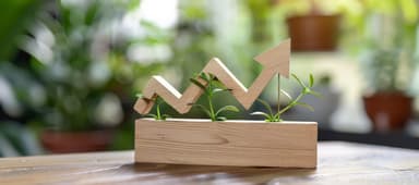 Scale Up ve Start Up arasındaki fark nedir?