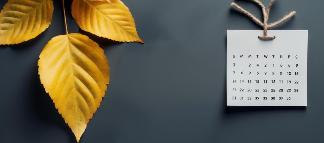 Kullanılmayan yıllık izin ücreti hesaplama rehberi 2026